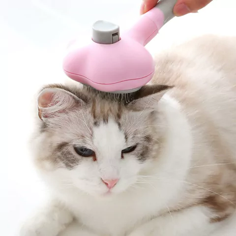 Cepillo autolimpiante