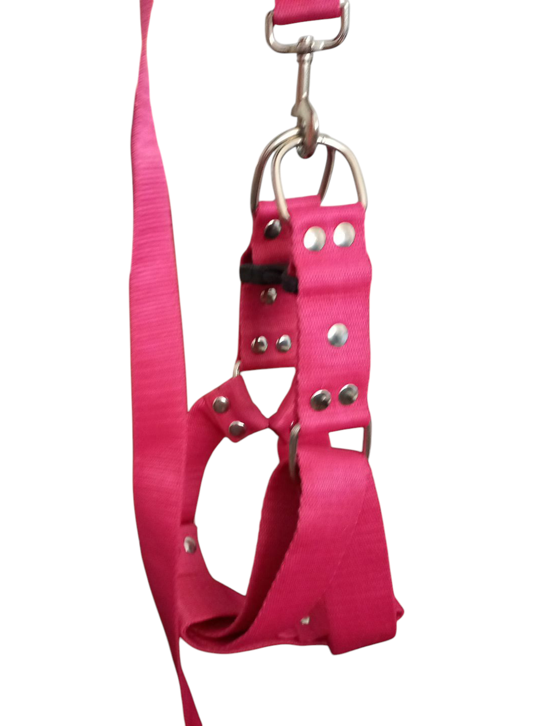 Correa + Pretal Arnes Mascota Grande Regulable Reforzado