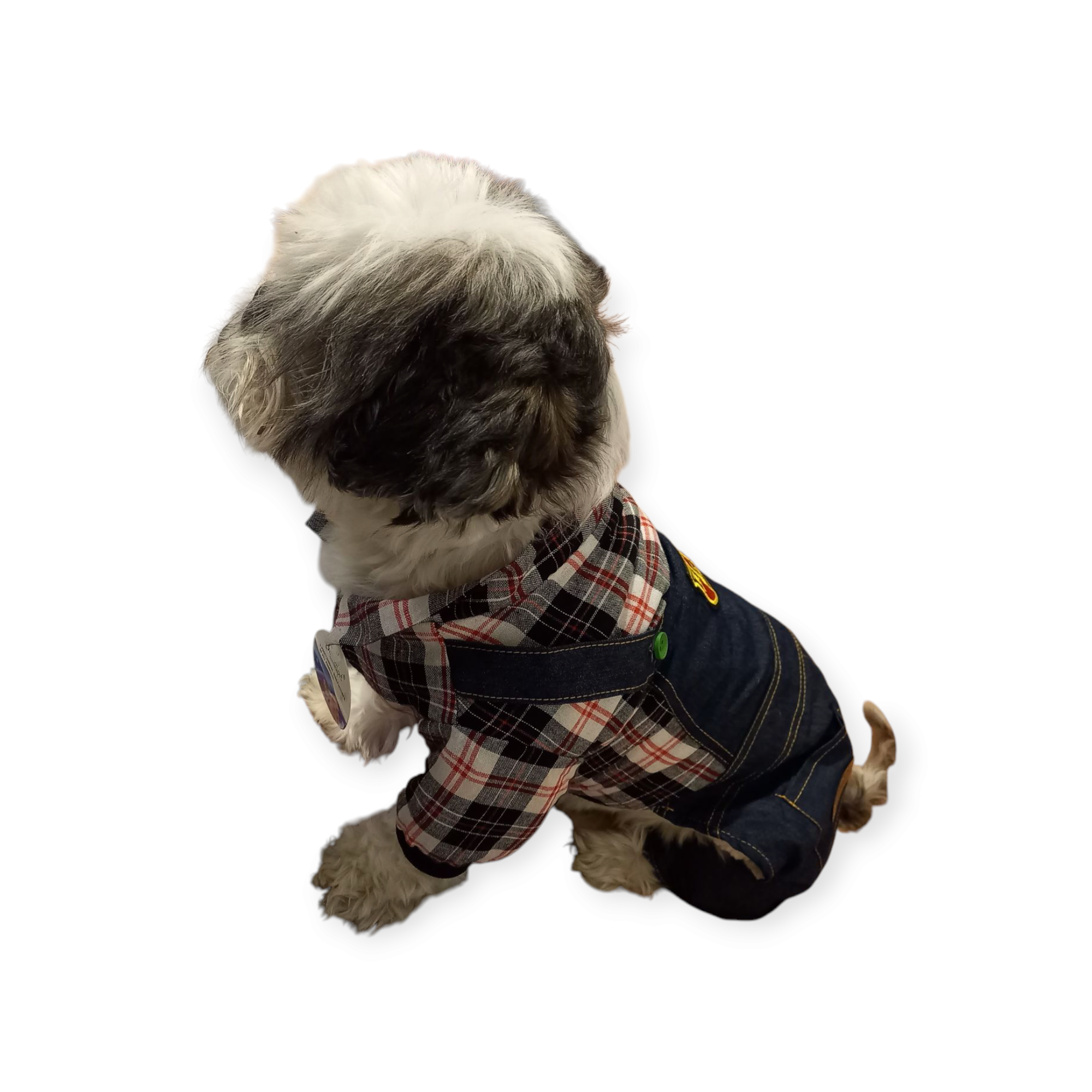 Abrigo Enterito Vaquero Jean - Imagen 2