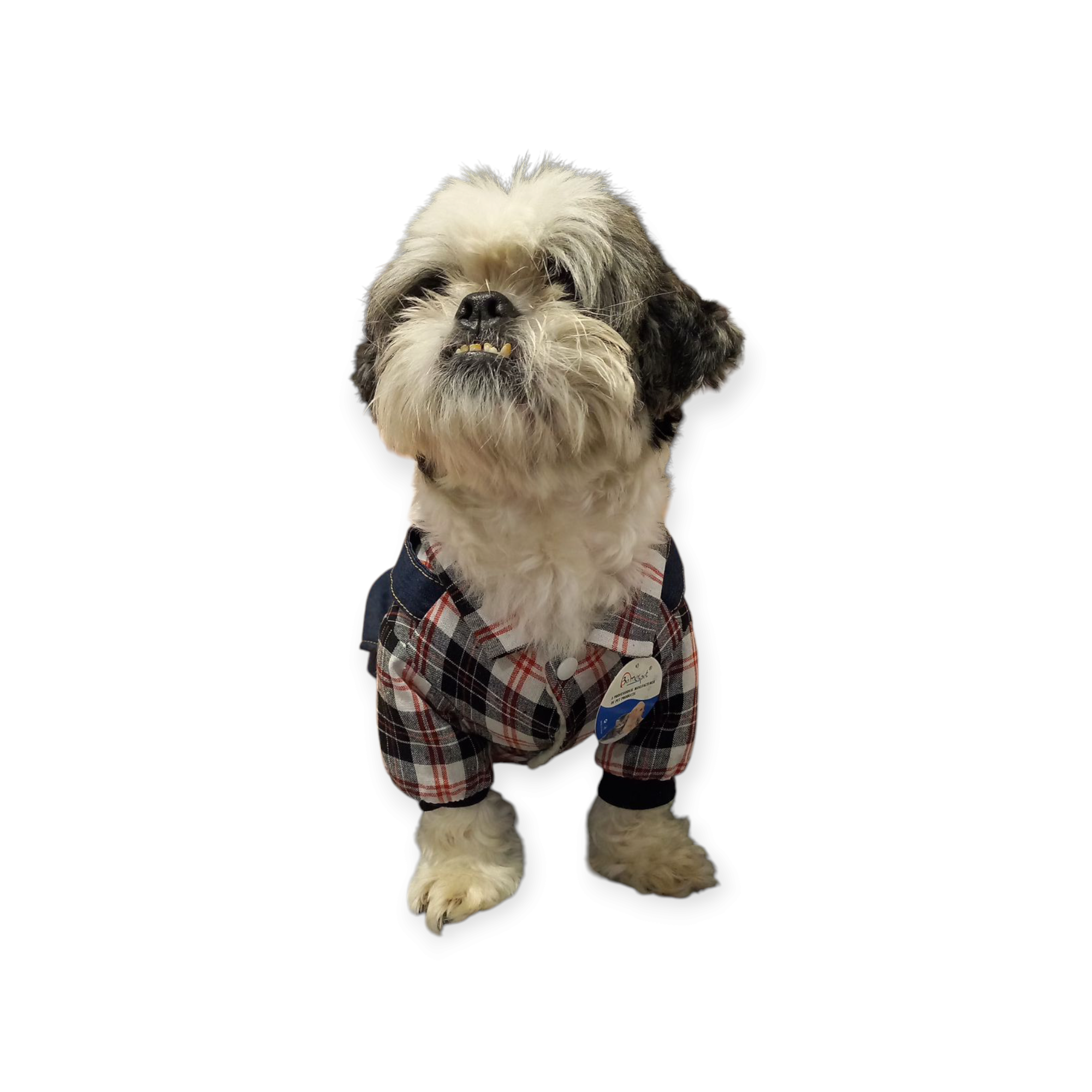 Abrigo Enterito Vaquero Jean