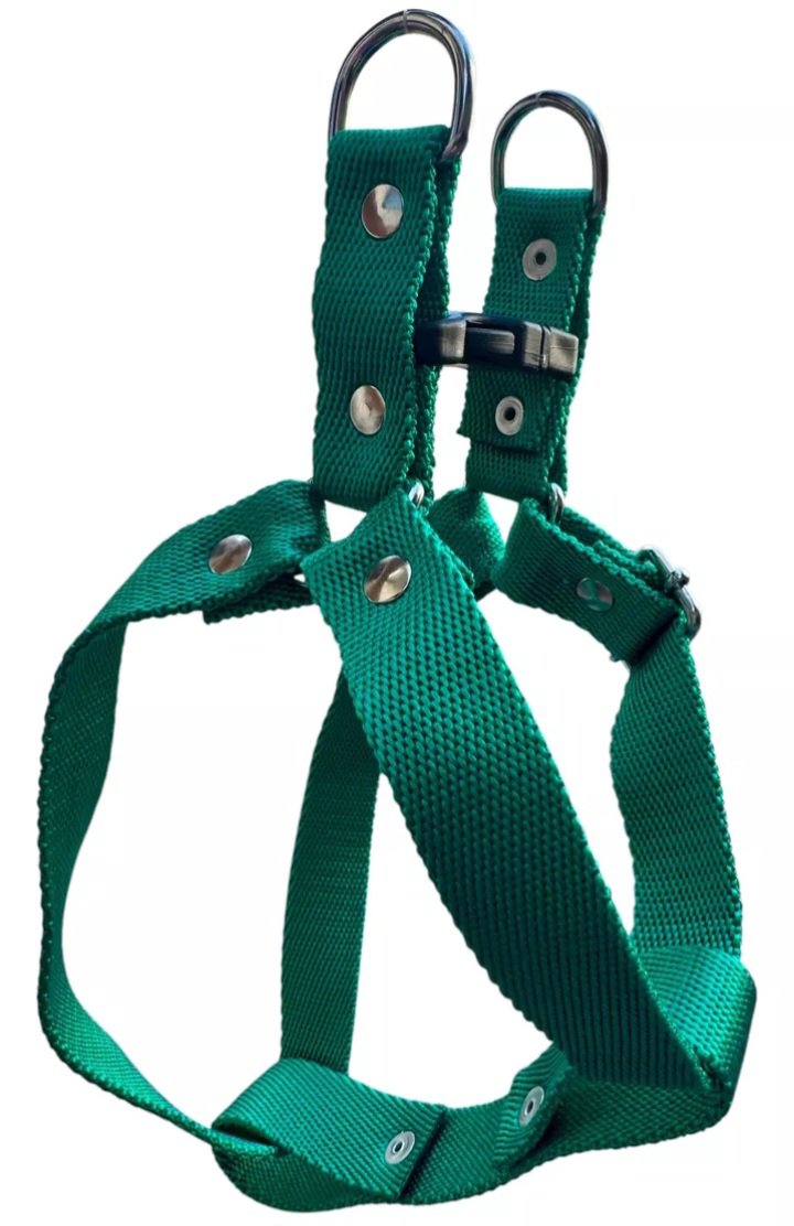 Correa + Pretal Arnes Mascota Grande Regulable Reforzado - Imagen 2