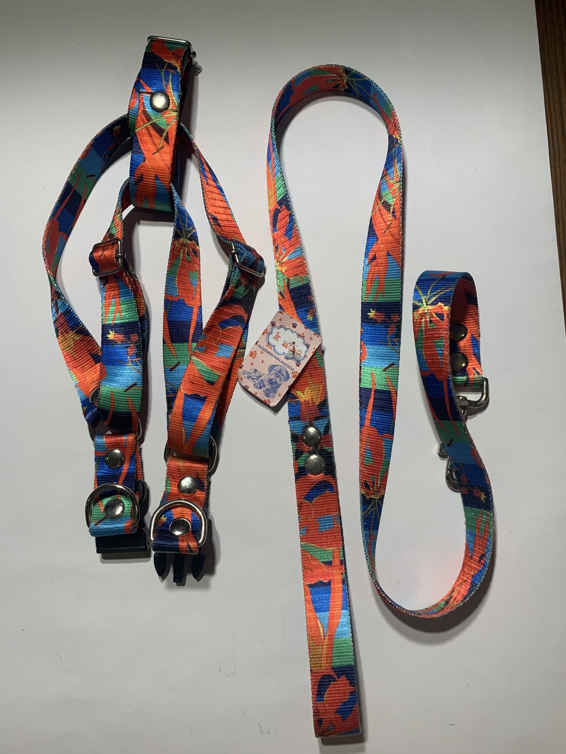 Conjunto Pretal y Correa Talle 3